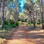 Amborget San Jorge (Castellon)