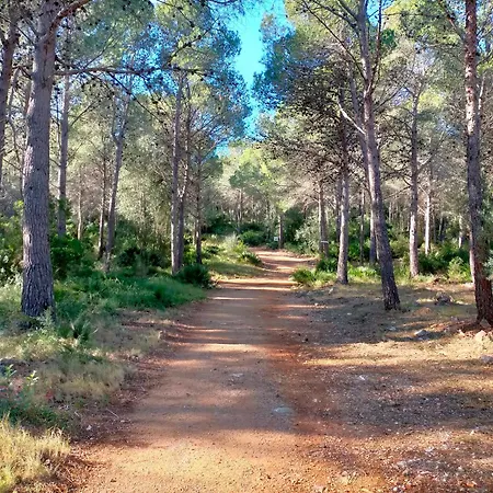 Amborget San Jorge (Castellon)