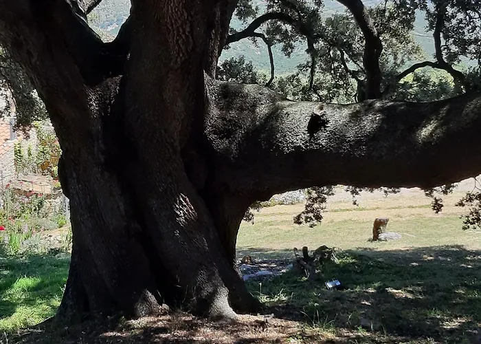 Amborget 度假居 *